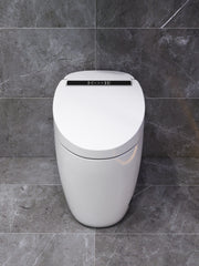 Smart WC Complete Set (S-250mm) - White