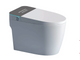 Smart WC Complete Set (S-220mm) With Grey Panel - White