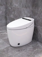 Smart WC Complete Set (S-250mm) - White