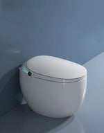 Smart WC Complete Set (S-250mm) - White